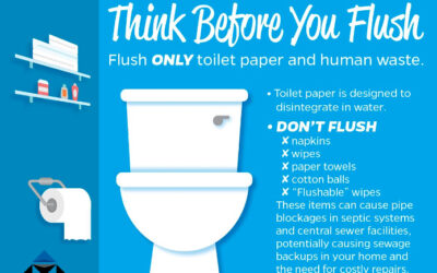 Think before you flush – Protect your pipes